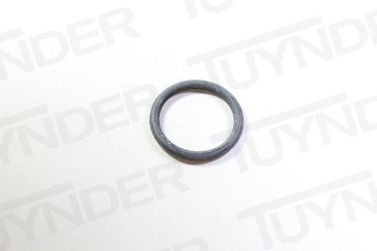 Picture of K04884873AA