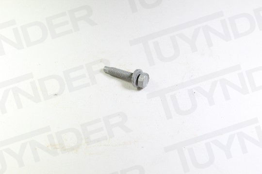 Picture of K06503929